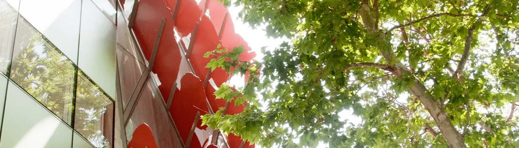 cabecera transparency