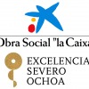 La Caixa-Severo Ochoa Fellowships