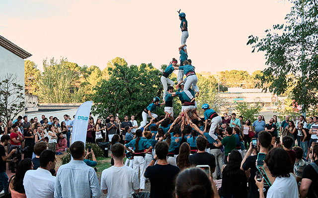 Castellers build a human tower while a crowd watches